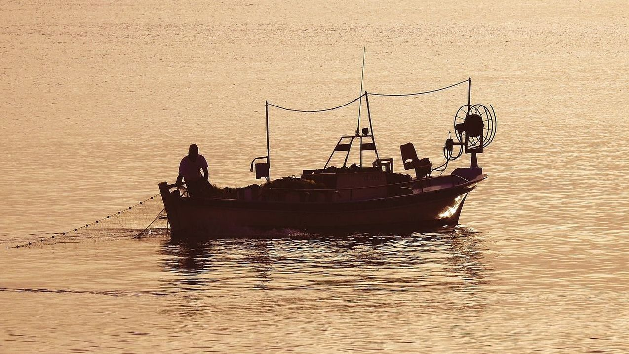 Sweetdaisyfield fishing tours overview